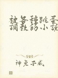 被各种跳蛋露出调教的小说封面