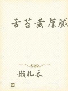 舌苔黄厚腻口苦