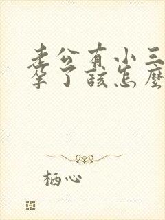 老公有小三我怀孕了该怎么办