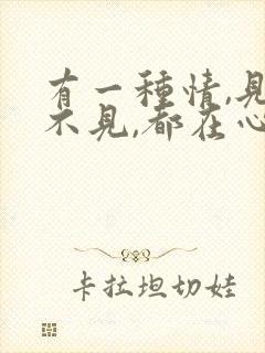 有一种情,见与不见,都在心里