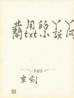 共用的丫丫笔趣阁txt小说网站