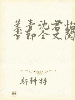 叶青沈君怡最新章节全文阅读