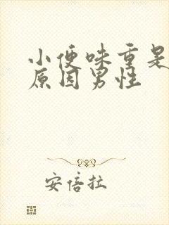 小便味重是什么原因男性