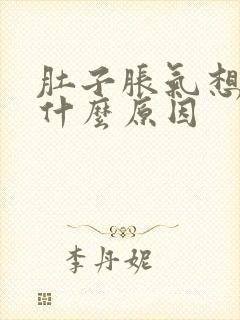 肚子胀气想吐是什么原因