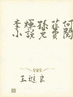 李辉孙菲何倩的小说免费阅读全文