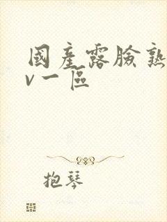 国产露脸熟女av一区