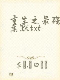 重生之最强弃少叶默txt