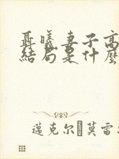 聂曦妻子高秀美结局是什么封面
