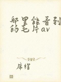 哪里能看到免费的毛片av