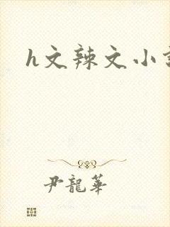 h文辣文小说网