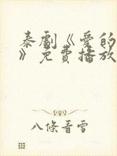 泰剧《爱的着陆》免费播放