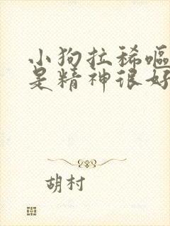 小狗拉稀呕吐但是精神很好