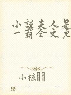 小说夫人是京城一霸全文免费阅读封面