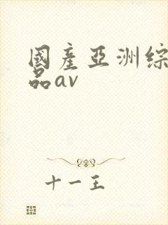 国产亚洲综合精品av封面