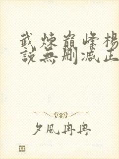 武炼巅峰杨开小说无删减正版在线阅读