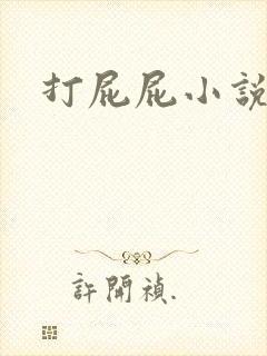 打屁屁小说封面