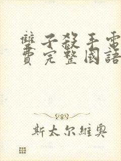 双子杀手电影免费完整国语版