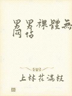 男男裸体无遮挡网站