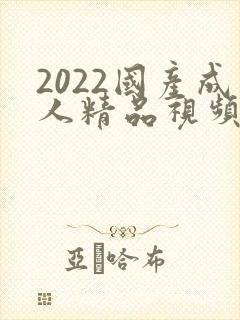 2022国产成人精品视频人