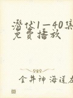 潜伏1—40集免费播放