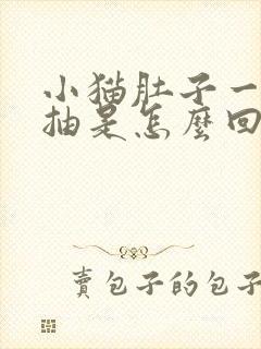 小猫肚子一抽一抽是怎么回事?封面
