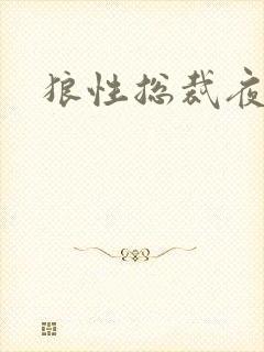 狼性总裁夜欢宠