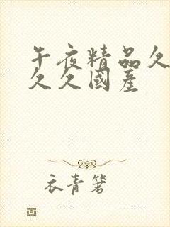 午夜精品久久久久久国产