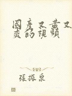 国产又黄又色又爽的视频