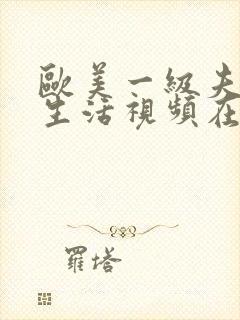 欧美一级夫妻性生活视频在线