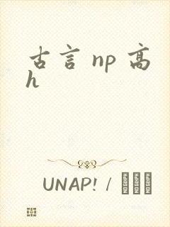 古言 np 高h