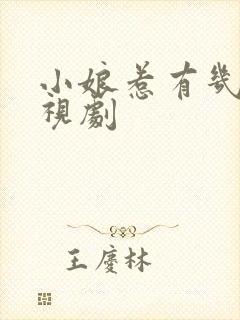 小娘惹有几集电视剧