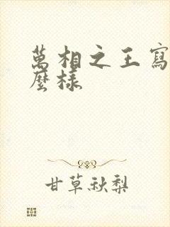 万相之王写的怎么样