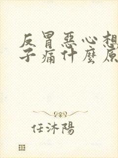 反胃恶心想吐肚子痛什么原因