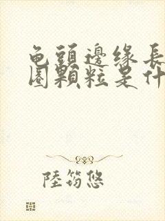 龟头边缘长了一圈颗粒是什么