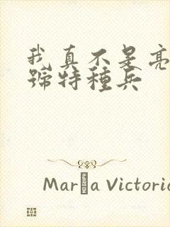 我真不是亮剑头号特种兵