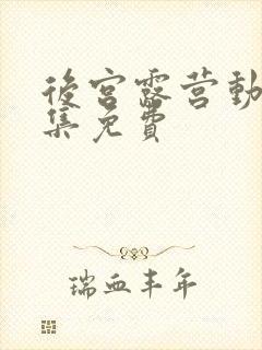 后宫露营动漫全集免费