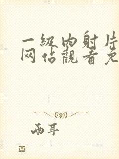 一级内射片在线网站观看免费封面