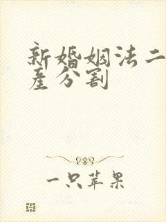 新婚姻法二婚财产分割