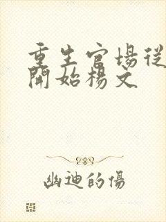 重生官场从复仇开始杨文封面