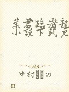 叶君临潜龙出渊小说下载免费阅读