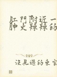 肛门附近一圈红肿火辣辣的痛