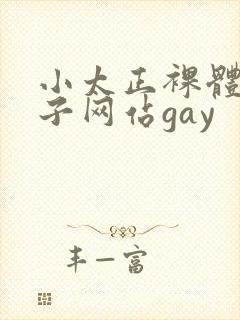 小太正裸体脱裤子网站gay