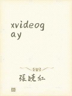 xvideogay