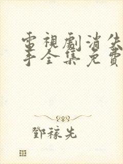 电视剧消失的凶手全集免费观看下载