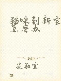 猫咪到新家乱尿怎么办