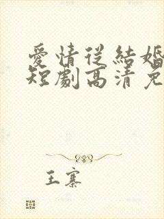 爱情从结婚开始短剧高清免费播放