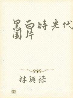 黑白时光代理人图片封面