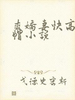 爽娇妻快高h绿帽小说