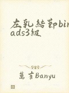 左乳结节birads3级