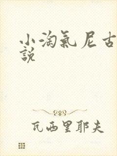 小淘气尼古拉小说